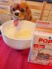 POPOTE - Kits de préparation de gâteaux saveur Canard