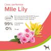 Parfum Mlle Lily