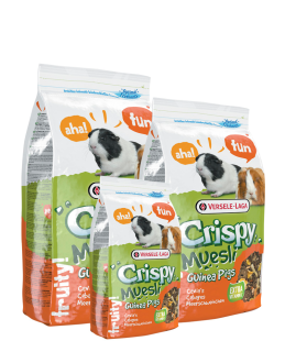 Crispy Muesli pour cochons d'Inde Versele Laga 2640 : Animalerie Point Dog  Brest : Alimentation et accessoires pour animaux de compagnie