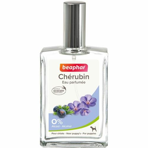 Parfum Chérubin 50ml Beaphar