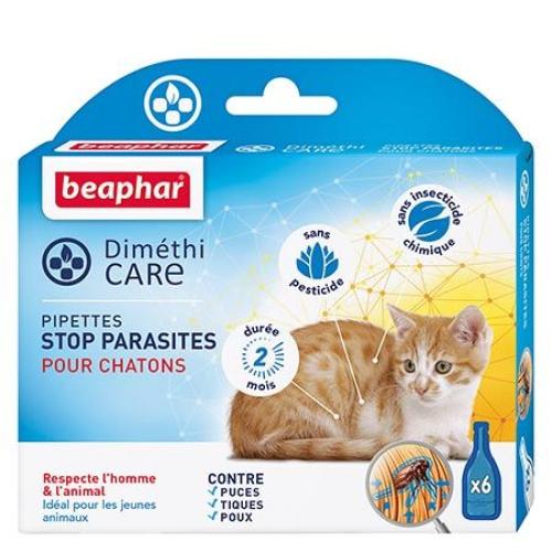 Pipettes stop parasites Chatons