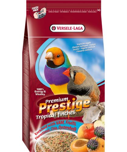 Premium Prestige Oiseaux exotiques